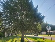  elyria,  OH 44035