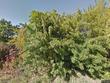 11279 se blair ln, hobe sound,  FL 33455