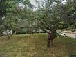1705 nw willow cir, blue springs,  MO 64014