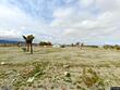  pinon hills,  CA 92372