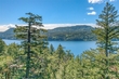 65 folly farm lane, orcas island,  WA 98245