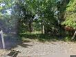 307 jungle rd, edisto island,  SC 29438