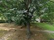 3310 glen ave, baltimore,  MD 21215