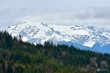 4966 helena lane unit 2 c76, concrete,  WA 98237
