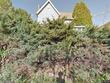 199 truman st, trout run,  PA 17771