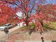 6453 n amoret ave, kansas city,  MO 64151