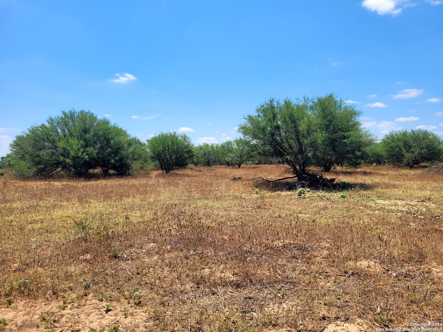 lot 5 of 7 bar r lane, floresville,  TX 78114