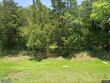  wildwood,  FL 34785
