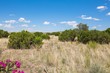 lot 58 pinon springs ranch, magdalena,  NM 87825