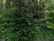 316 mount cleveland rd, bethlehem,  NH 03574