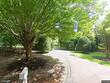 6561 baileys pond rd, easton,  MD 21601