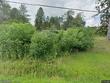  cincinnatus,  NY 13040