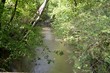lick creek rd, hartsville,  TN 37074