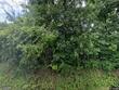295 shellstone rd, amsterdam,  NY 12137