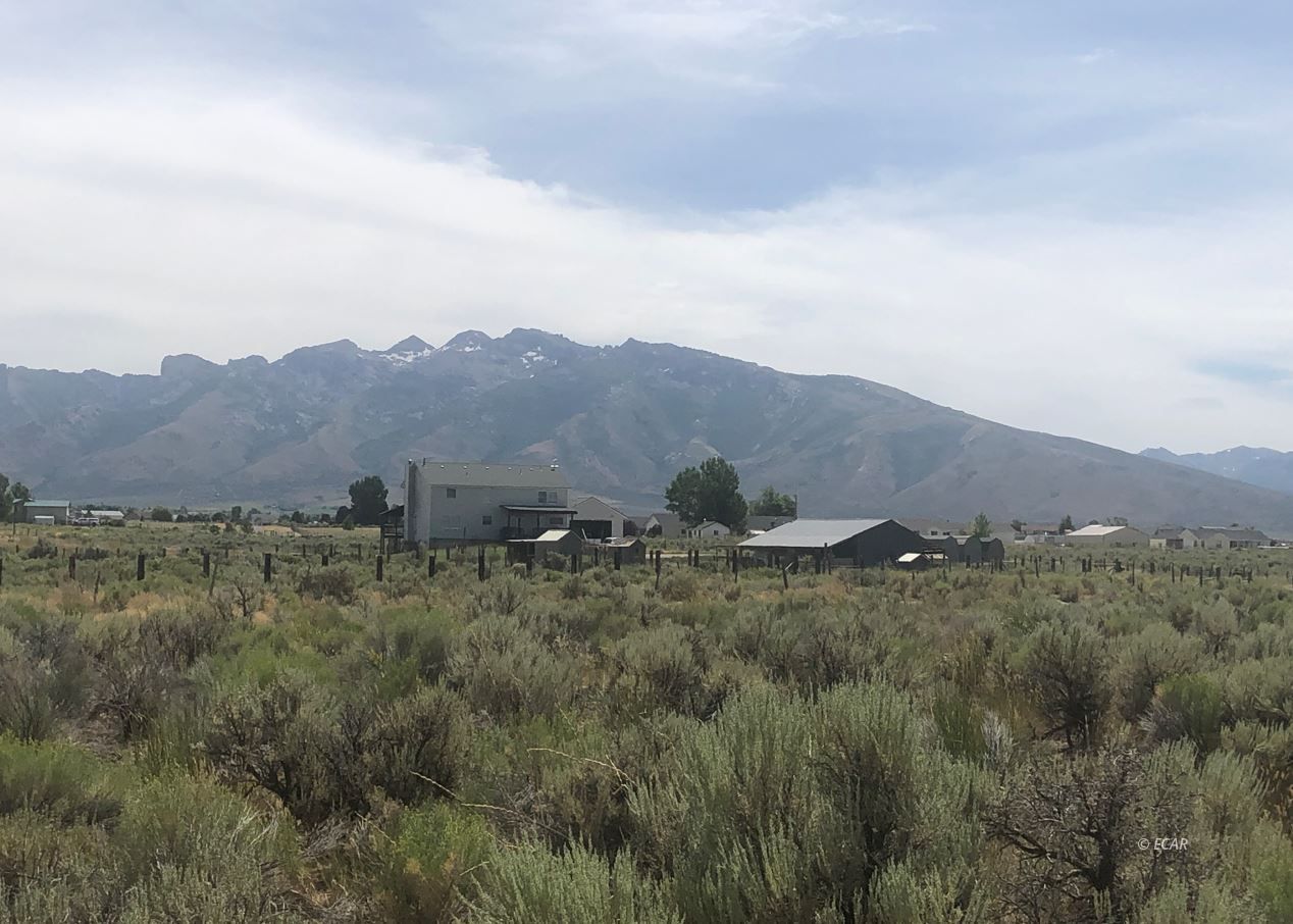 chimney creek rd. road, spring creek,  NV 89815