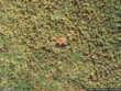 2811 ridge rd, sempronius,  NY 13077