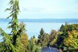  everett,  WA 98203