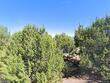 4 plano arbolito, santa fe,  NM 87506