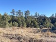 80 acres forest rd 220, magdalena,  NM 87825