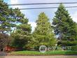  mount vernon,  WA 98274