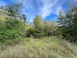 lot 2 20th ave, bell,  FL 32619
