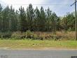 380 rhode dr, cottageville,  SC 29435