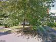 24 brookside pl, hillsdale,  NJ 07642
