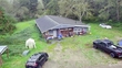 32203 douglas dr, ocean park,  WA 98640