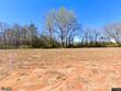 314 new twin branch court, smithfield,  NC 27577