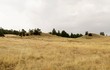 9697 coyote trail - coyote trail acreage, fort laramie,  WY 82212