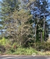 274 xx lot 5, u street, ocean park,  WA 98640