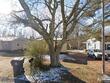 464 powell st, henderson,  NC 27536