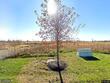 4458 tee box dr, basehor,  KS 66007