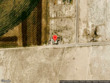 3487 n 151st st e, ely,  NV 89301