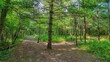 lot 39 1517 hardwood court, cable,  WI 54821