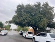 3215 flores ave, laredo,  TX 78040