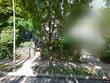 4346 locust st, kansas city,  MO 64110