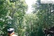 1729 cranberry creek rd, laurel springs,  NC 28644