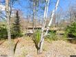 4359 white pine loop, eagle river,  WI 54521