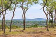 lot 195 flat rock way, johnson city,  TX 78636