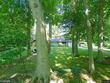 15170 77th st, south haven,  MI 49090