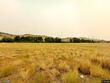 nhn condor street, anaconda,  MT 59711