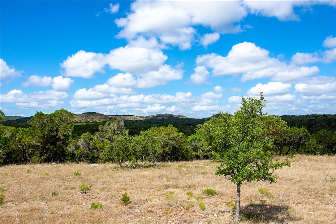 monarch ranch road, blanco,  TX 78606