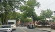  brooklyn,  NY 11236