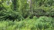 320 sylvan dell park rd, williamsport,  PA 17702