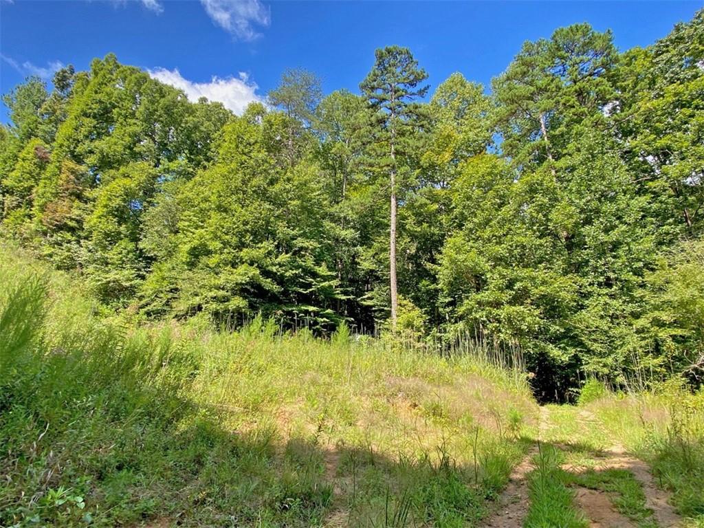 falling pines road, dahlonega,  GA 30533