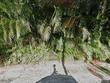 8088 sw wildwood dr, stuart,  FL 34997