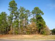 nw corne ne stallings and park st., nacogdoches,  TX 75961