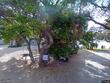  cedar key,  FL 32625