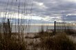 610 palmetto blvd, edisto island,  SC 29438